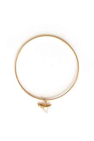 Shark Tooth Bangle